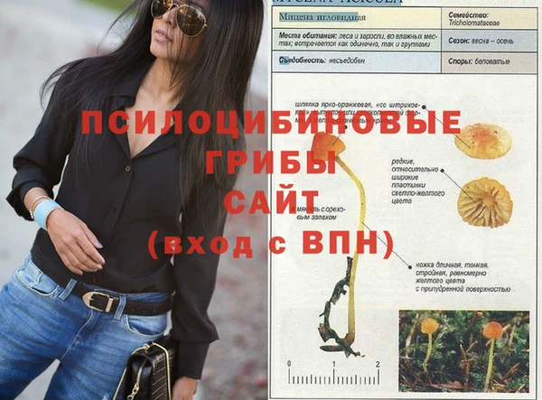 эйфоретик Верея