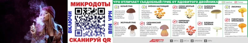 что такое наркотик  Оса  Галлюциногенные грибы Psilocybe 