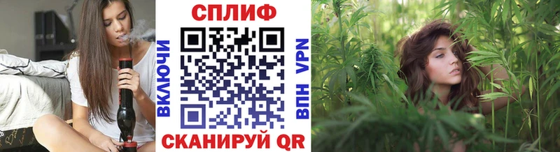 Марихуана сатива Оса